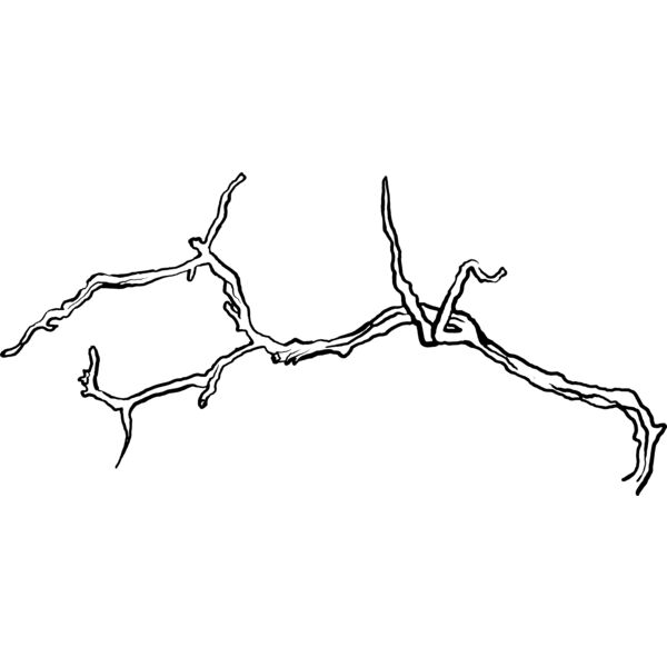 Branches106 Thumbnail
