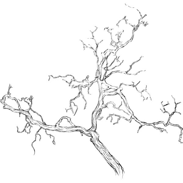 Trees132 Thumbnail