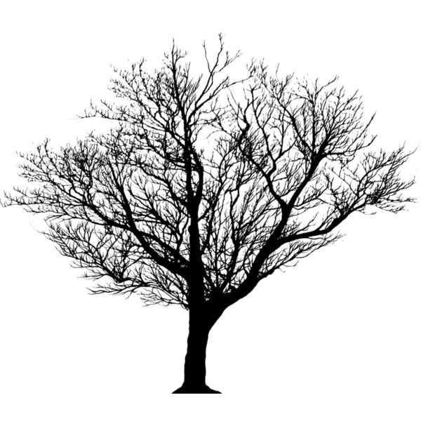 Trees123 Thumbnail