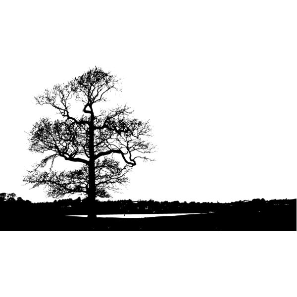 Trees121 Thumbnail