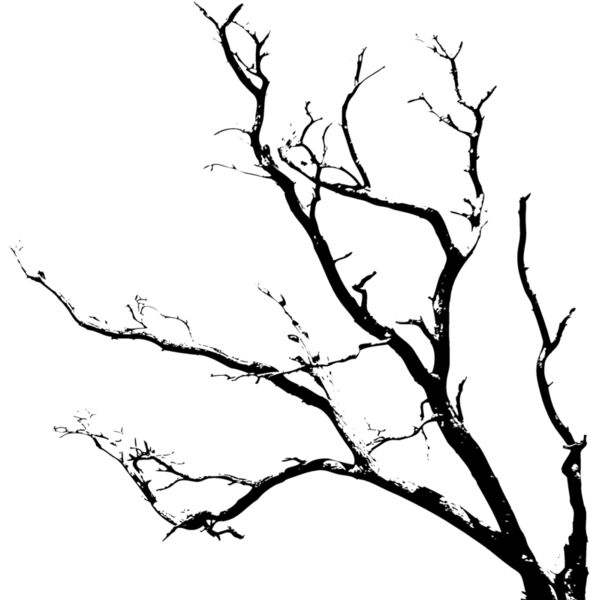 Trees118 Thumbnail
