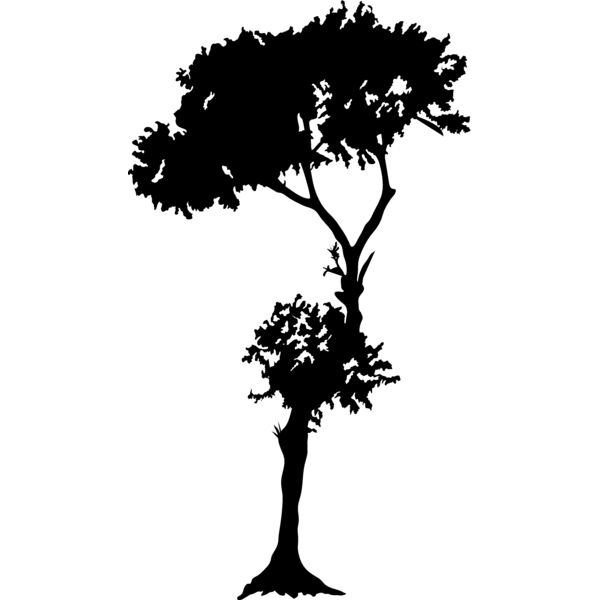 Trees102 Thumbnail