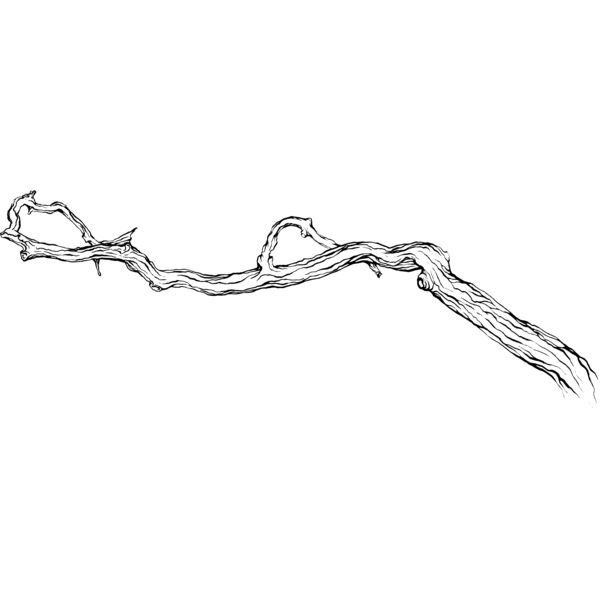 Branches104 Thumbnail