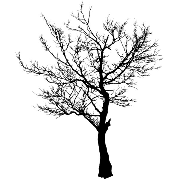 Trees122 Thumbnail