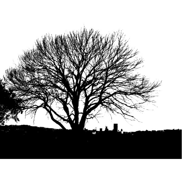 Trees111 Thumbnail