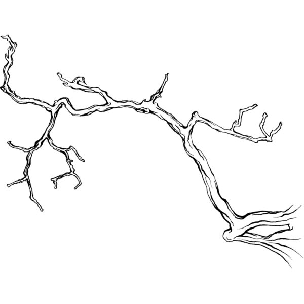 Leaves108 Thumbnail