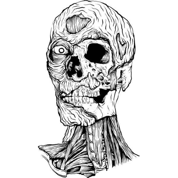 Skulls174 Thumbnail
