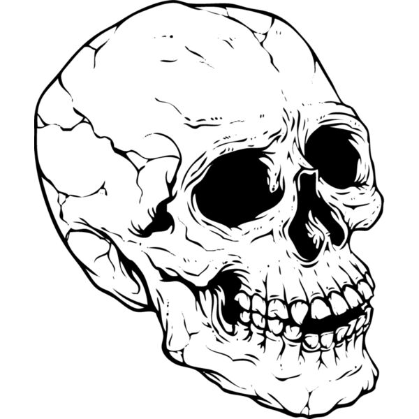 Skulls164 Thumbnail