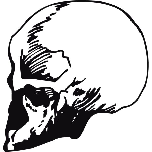Skulls139 Thumbnail