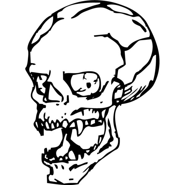 Skulls143 Thumbnail