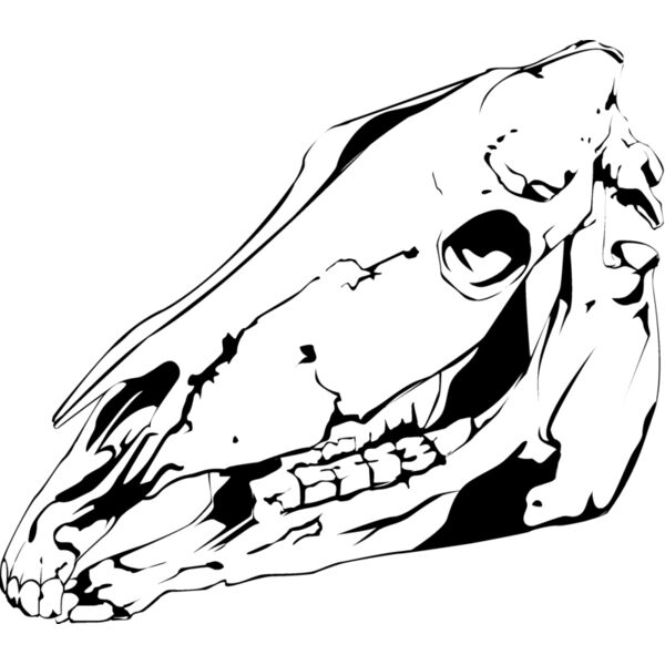 Animal110 Thumbnail