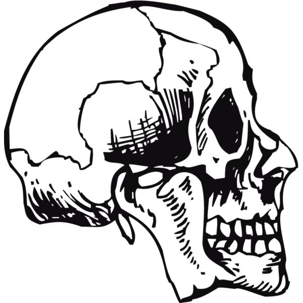Skulls138 Thumbnail
