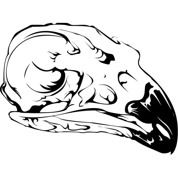 Animal108 Thumbnail