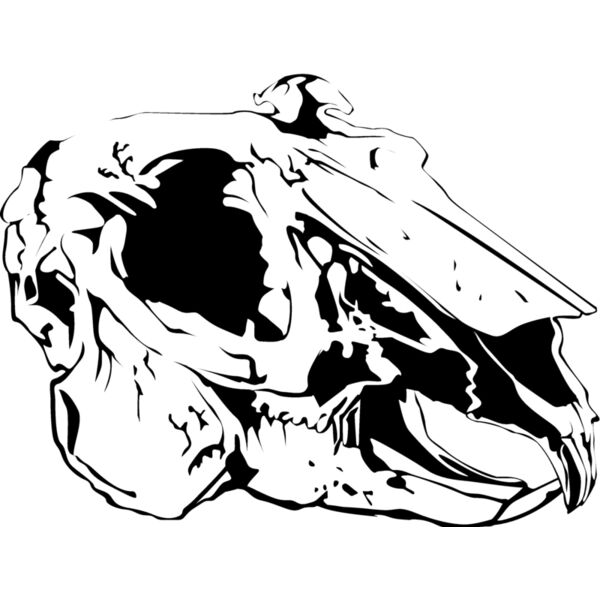 Animal109 Thumbnail