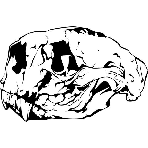Animal112 Thumbnail