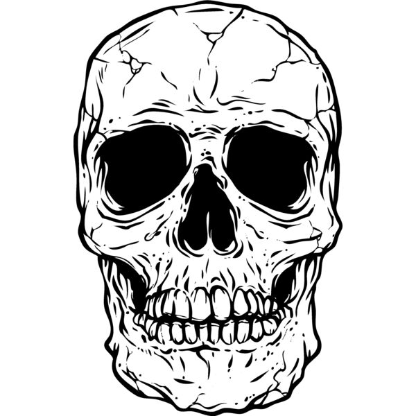 Skulls165 Thumbnail