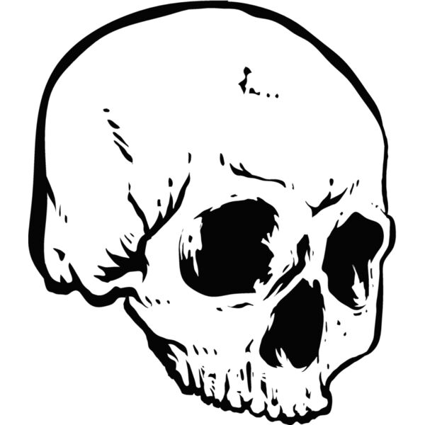 Skulls154 Thumbnail
