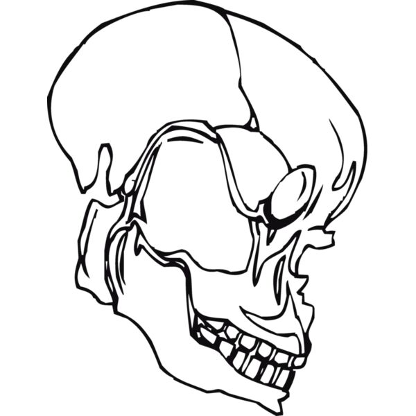 Skulls135 Thumbnail