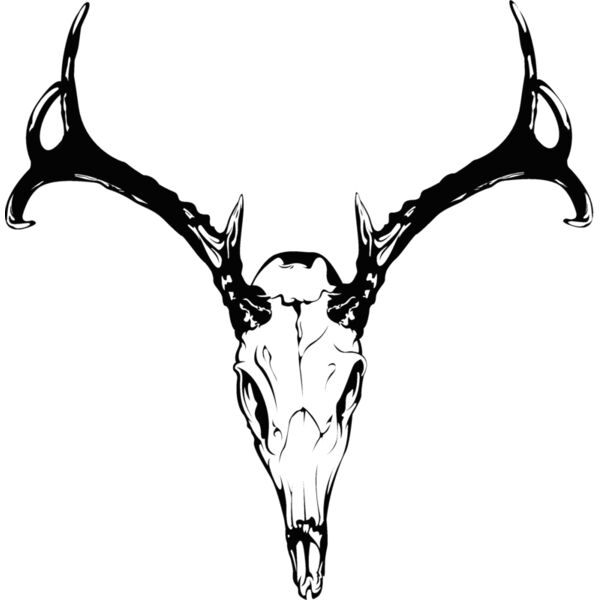 Animal102 Thumbnail