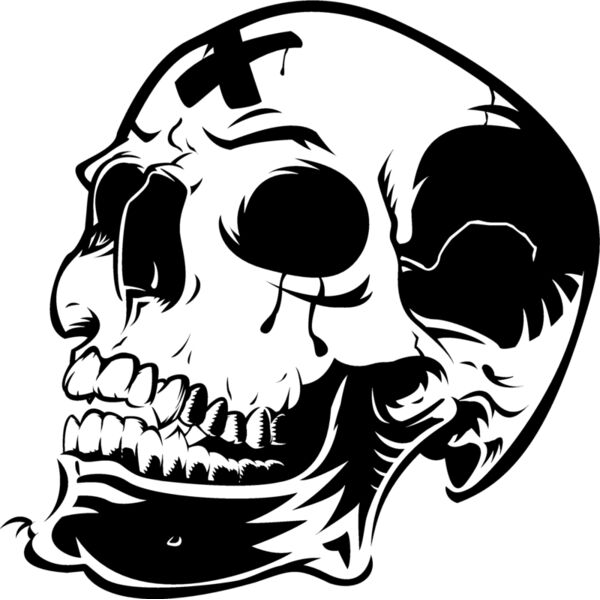Skulls160 Thumbnail
