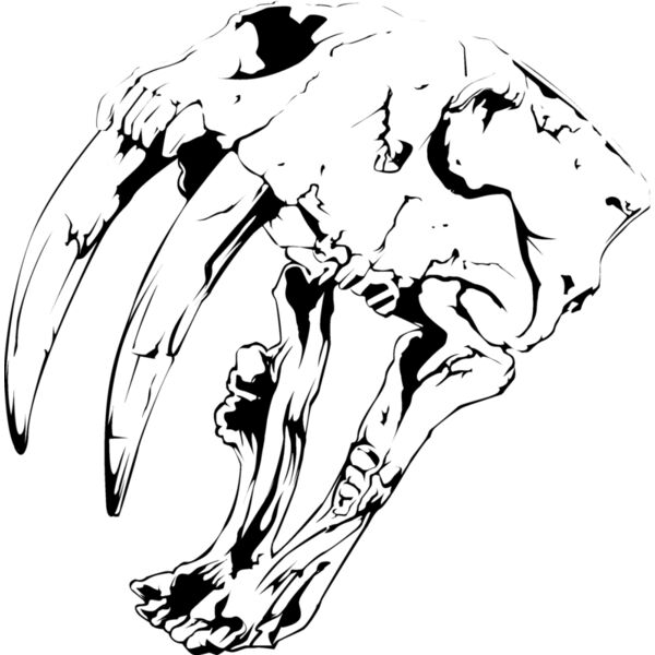 Animal101 Thumbnail
