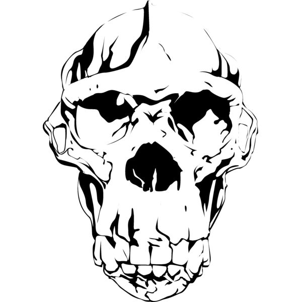 Animal104 Thumbnail