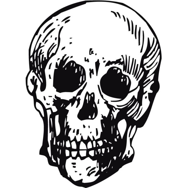Skulls136 Thumbnail