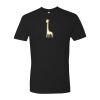 Cotton Short Sleeve Crew Thumbnail