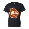 DryBlend® T-Shirt Thumbnail