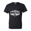 DryBlend® T-Shirt Thumbnail