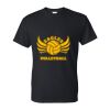 DryBlend® T-Shirt Thumbnail